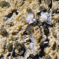 Uralolite, Roscherite