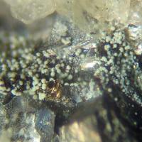 Cannonite, Bismuth, Muscovite