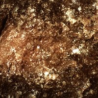 Caryinite
