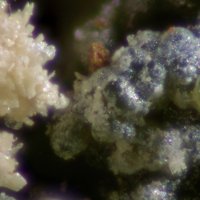 Oberwolfachite, Chenevixite