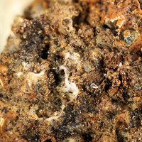 Earlshannonite