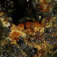 Jahnsite-(CaMnMn), Rockbridgeite