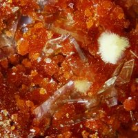 Umohoite, Baryte, Uranophane