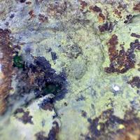 Barahonaite-(Fe), Conichalcite