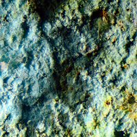 Takovite