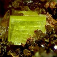 Uranocircite