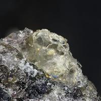 Balestraite