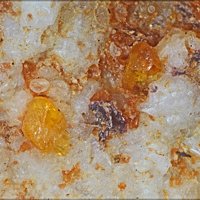 Gasparite-(Ce), Tripuhyite