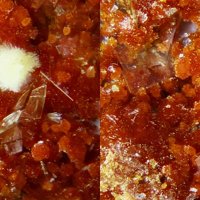 Umohoite, Baryte, Uranophane