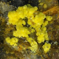 Uranopilite