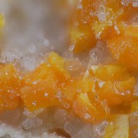 Carnotite
