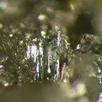 Ikunolite