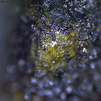 Jagoite, Kentrolite