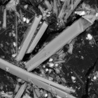 Eckhardite