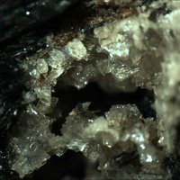 Umbite