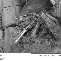 Barylite