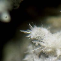 Adranosite