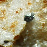 Macedonite