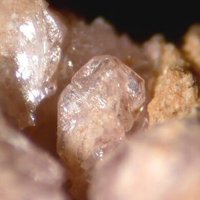 Lanthanite-(Nd)