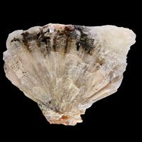 Barylite