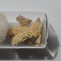 Palmierite