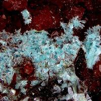 Caledonite