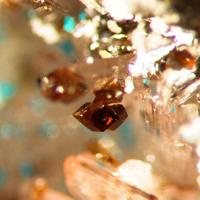 Canutite, Halite, Magnesiokoritnigite