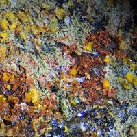 Rabejacite, Gypsum