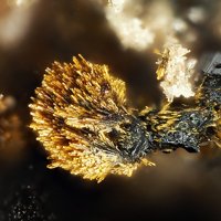 Gayite, Fluorapatite