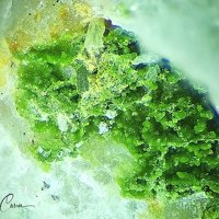 Obradovicite-KCu