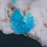 Sampleite