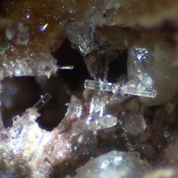 Kalsilite
