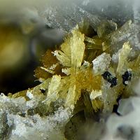 Calcioferrite