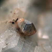 Dalyite