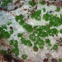 Tangeite, Quartz