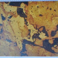 Taimyrite