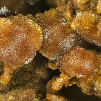 Earlshannonite