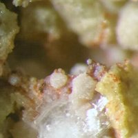 Ottoite, Plumbotellurite