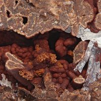 Caryopilite, Baryte, Brandtite