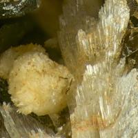 Adamsite-(Y), Franconite, Synchysite-(Ce)
