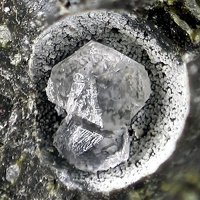 Faujasite-Ca