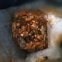 Dalyite