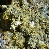 Uklonskovite