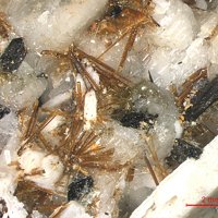 Lamprophyllite