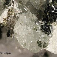 Fantappièite, Augite