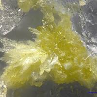 Calcioursilite