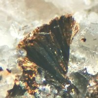 Rankachite