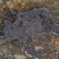 Famatinite, Bournonite, Covellite