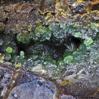 Bayldonite, Olivenite, Beudantite