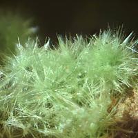Agardite-(La)